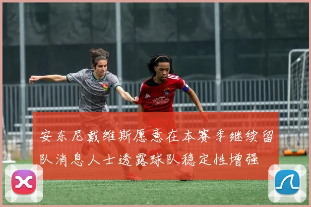 安东尼戴维斯愿意在本赛季继续留队消息人士透露球队稳定性增强